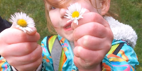 Little Bugs Open Evening - Fordell Firs