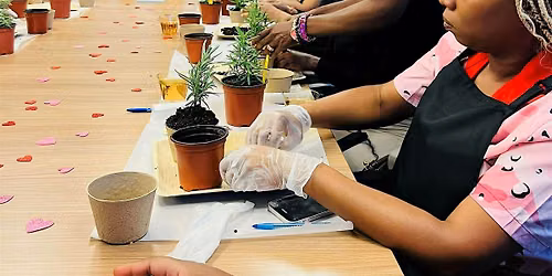 Chic's Fall Plant & Sip Experience