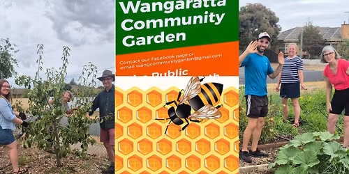 Working bee at the Wangaratta Community Garden