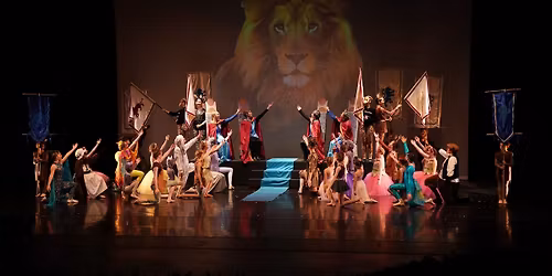 Adventures in Narnia 