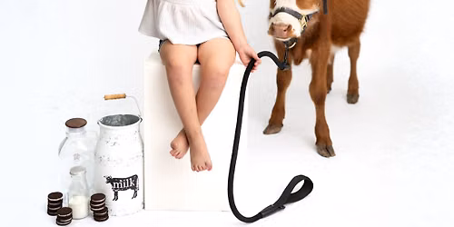 Cookies and Milk with a Cow \ud83d\udc2e\ud83c\udf6a