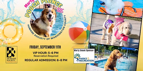 Pooch Plunge at Marty Snook Pool