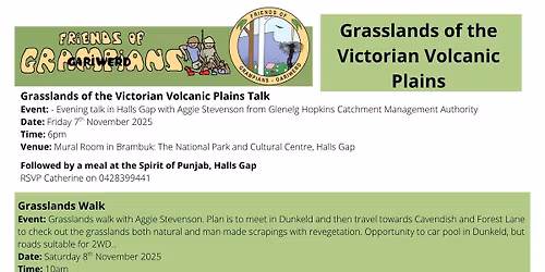 Volcanic plains Grasslands