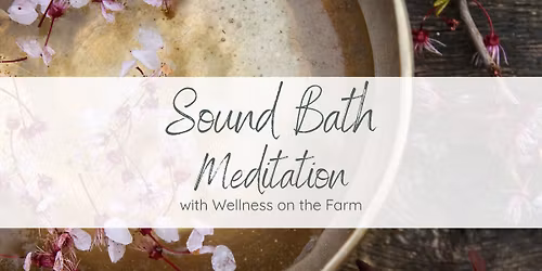 Sound Bath Meditation