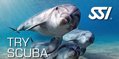 Try Scuba