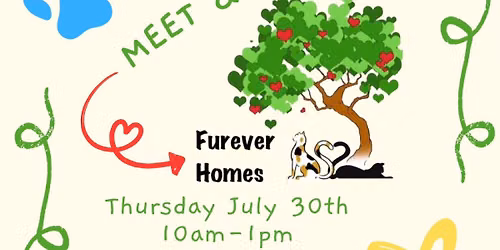 Meet & Greet with Furever Homes Cat Rescue