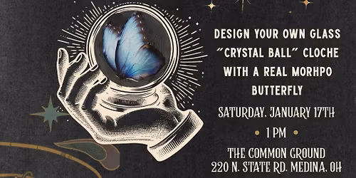 Morpho Butterfly \u201cMetamorphosis\u201d Workshop - An Oddity Event!