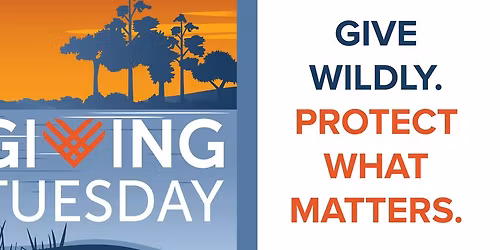 25-26 Speaker Series -Purple Martin presented by Shelly Rosenberg 