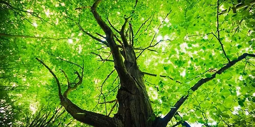 Live Green\/Leave Green - What Will Be Your Legacy?