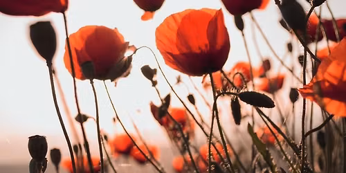 Armistice Day