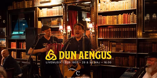 Irl\u00e4ndsk Pub-AW med D\u00fan Aengus