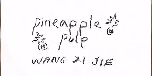 Pineapple Pulp \u2013 Paper-making As Material Archive with Wang Xi Jie