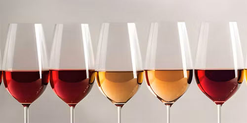 The Art & Color Of Wine @ The Stelin Gallery