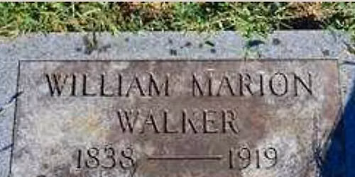 Walker Family Reunion 2026