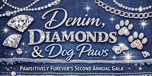 Denim, Diamonds & Dog Paws 