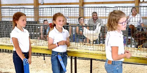 Nicollet County 4-H Poultry Show