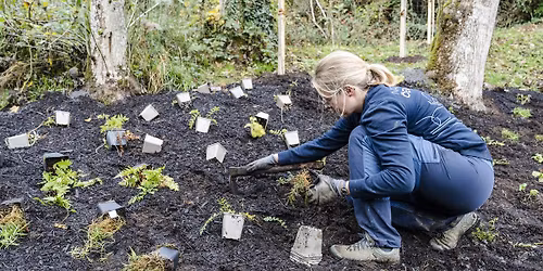 Workshop: Naturnoe Gaart