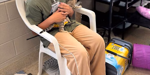 Humane Heroes Day Camp