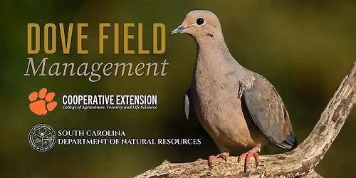 Dove Field Management Field Day