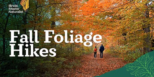 Fall Foliage Hike - Nell's Woodland