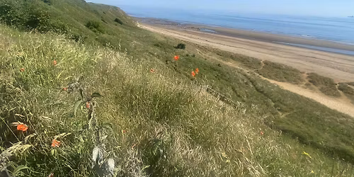 Beach Clean - Crimdon