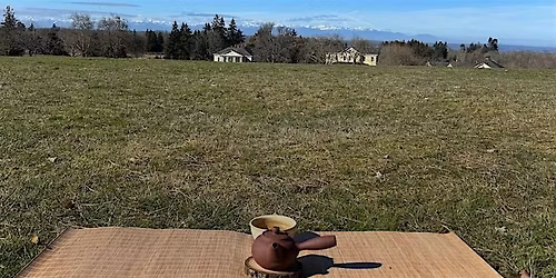 Sunday Morning Tea Ceremony in Somerville