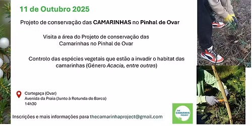 Ação de voluntariado - Projeto de Conservação das CAMARINHAS no Pinhal de Ovar