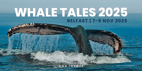 Whale Tales 2025: Shared Stories from the Sea