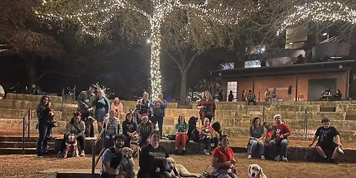 Arfordable's Woof and Wag Dog Walk: Holiday Edition