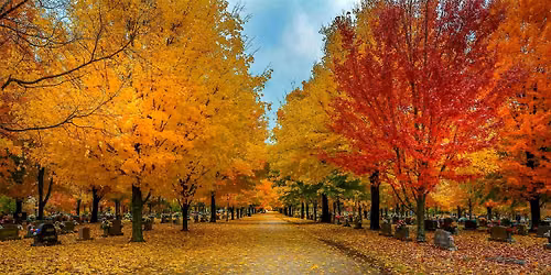 Arkansas Fall Colors Photo Workshop