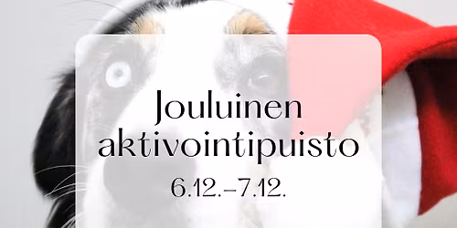Jouluinen aktivointipuisto Kuonoakatemialla