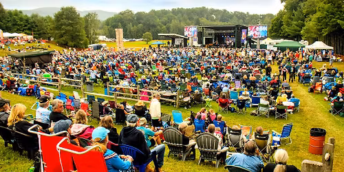 Desoto Tiger's Testimony