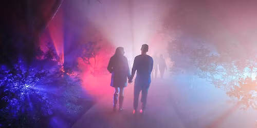 Dazzling Nights - Orlando