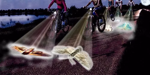 LET\u2019S DO LIGHTS! Cycle Projection Experience