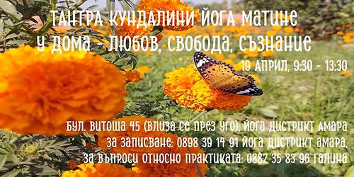 \u0422\u0430\u043d\u0442\u0440\u0430 \u041a\u0443\u043d\u0434\u0430\u043b\u0438\u043d\u0438 \u0419\u043e\u0433\u0430 \u041c\u0430\u0442\u0438\u043d\u0435