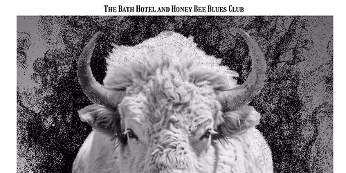 Bufalo Ghost @The Bath Hotel.Solo and Acoustic.