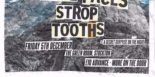 The Small Dayer : Stockton Punk Rock Micro Festival