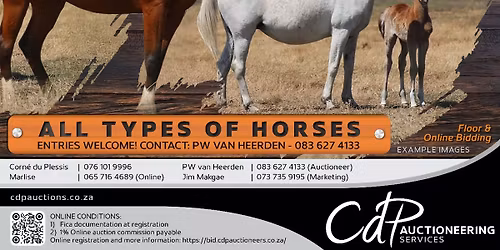 CdP Open Horse Auction - Perdeveiling.