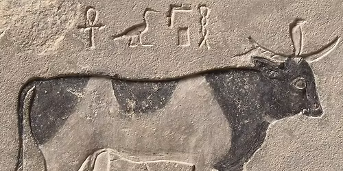 Conf\u00e9rence \u00e9gyptologique de Didier Devauchelle : Au service d\u2019Apis...