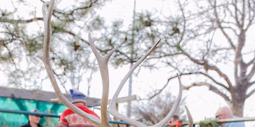 Visit Santa's Reindeer