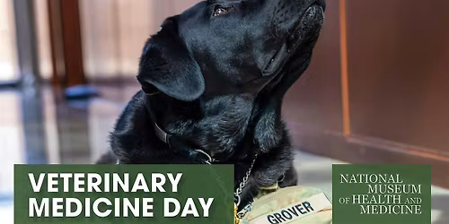 Veterinary Medicine Day at the Medical Museum