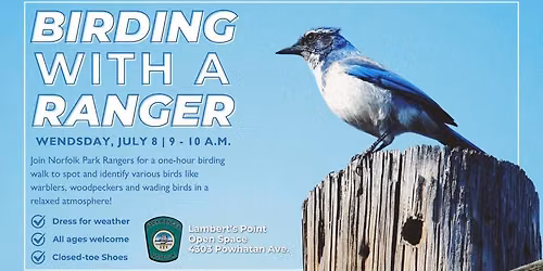 Birding with a Ranger