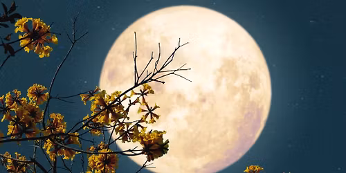 Full Moon Sound Healing