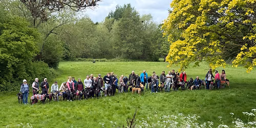 June Sighthound Social Walk