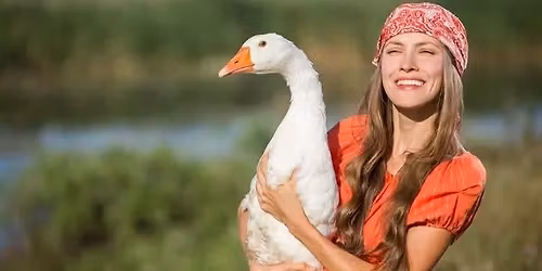 M\u00e1rton-nap Noszvajon