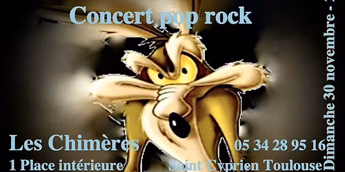 Concert Foxy Music aux Chim\u00e8res - Toulouse (St Cyprien)
