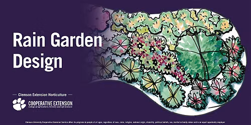 Rain Garden Design