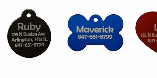 Engraved Pet Tag Sale - $4 before the 4th!