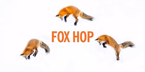 Fox Hop