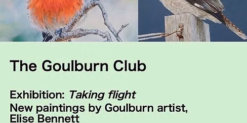 Exhibition: Taking flight by Goulburn artist Elise Bennett